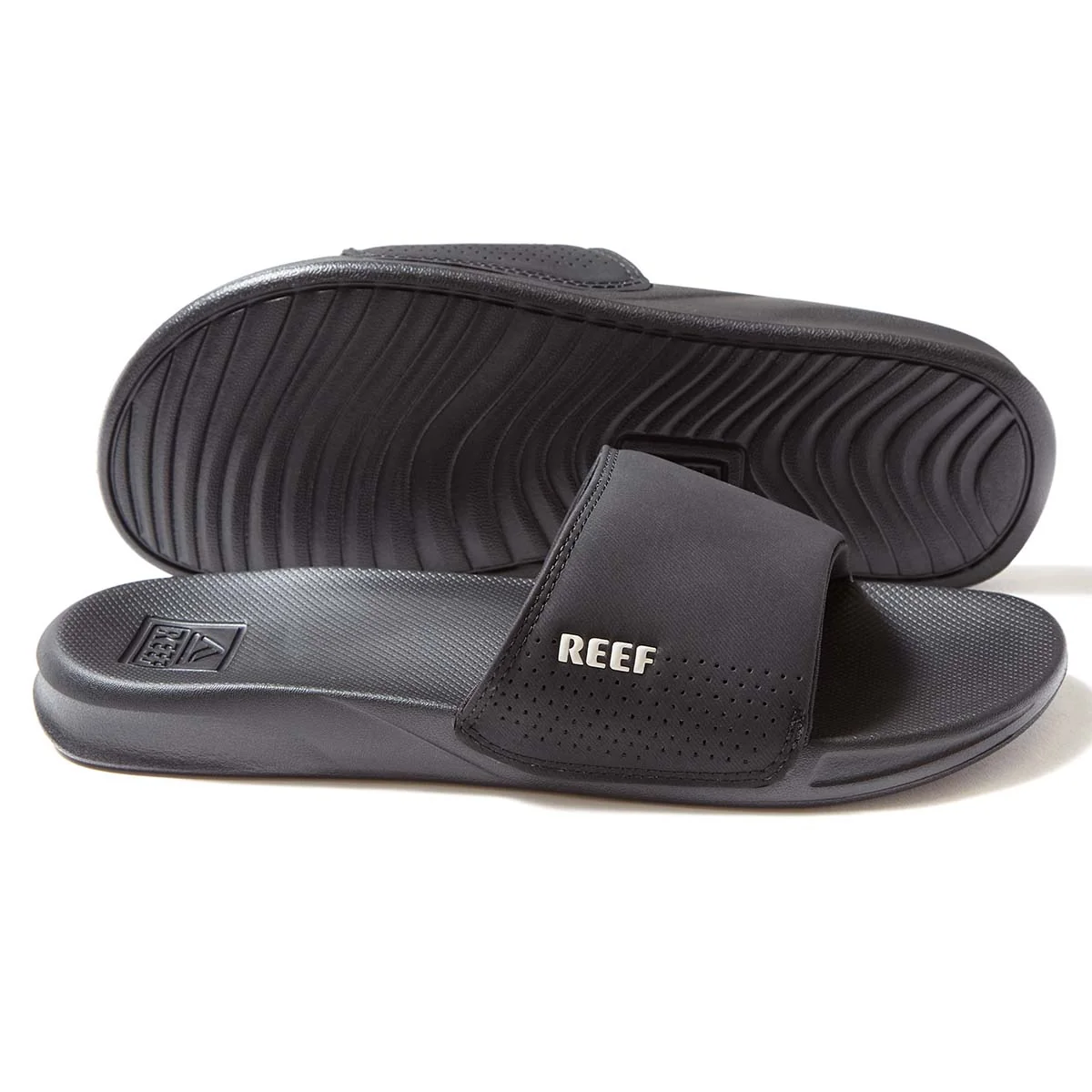 REEF – תמונה 3
